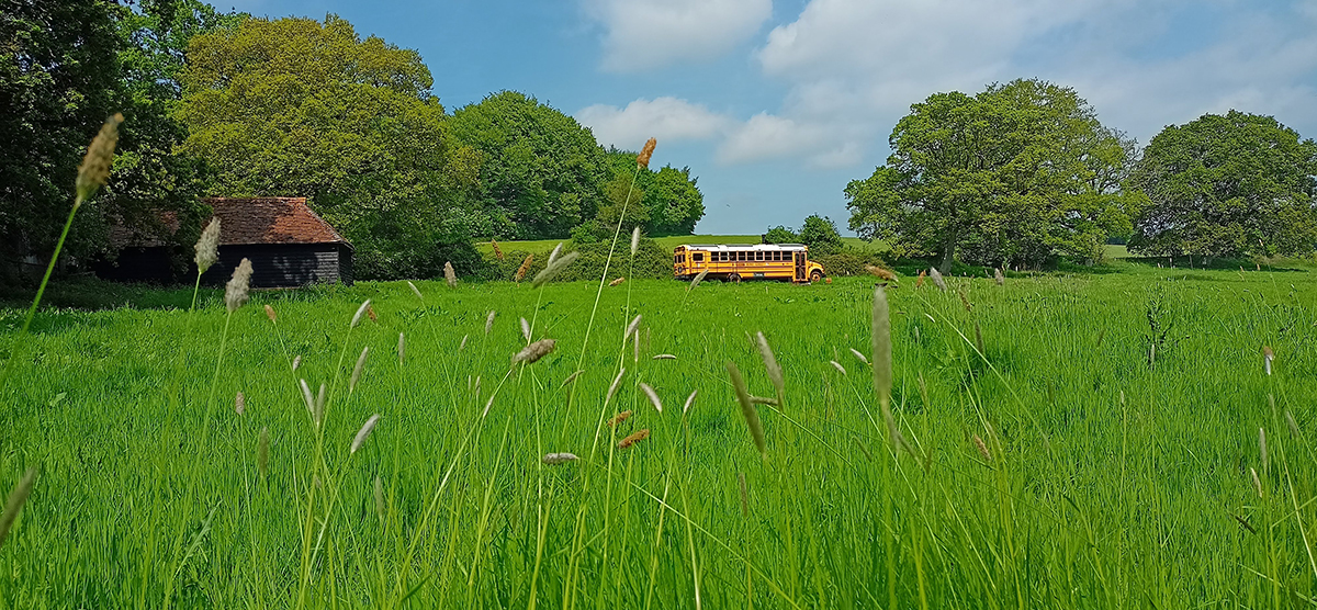 stay on bus in sussex countryside