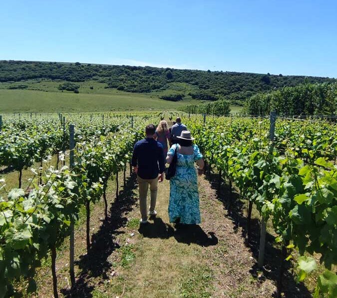 Wine tasting and tour Sussex